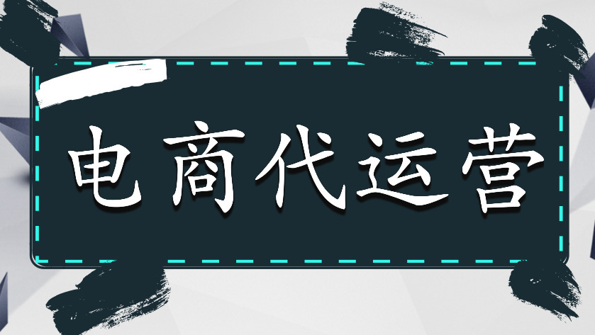 電商代運(yùn)營(yíng)