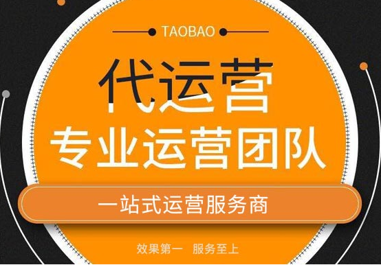 代運(yùn)營(yíng)
