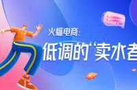 低調(diào)的“賣(mài)水者”火蝠電商