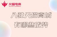 天貓代運(yùn)營(yíng)機(jī)構(gòu)